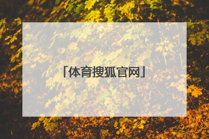 「体育搜狐官网」sohu搜狐官网