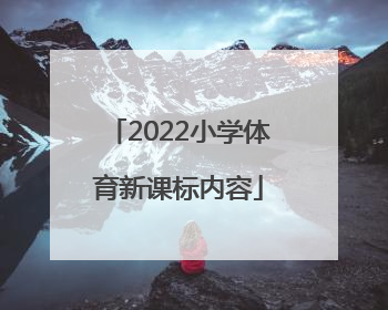 「2022小学体育新课标内容」河南初中体育考试评分标准2022