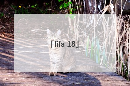 「fifa 18」fifa18世界杯模式