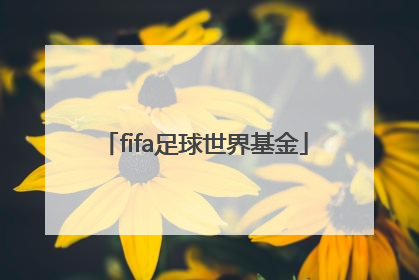 「fifa足球世界基金」FIFA足球世界基金返利