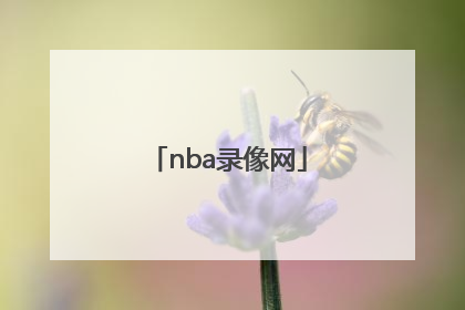 「nba录像网」NBA录像网下载